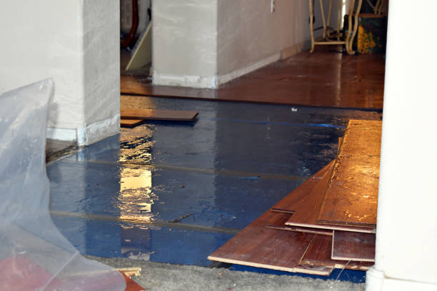 Professional Basement Water Removal technician working in East Templeton, MA